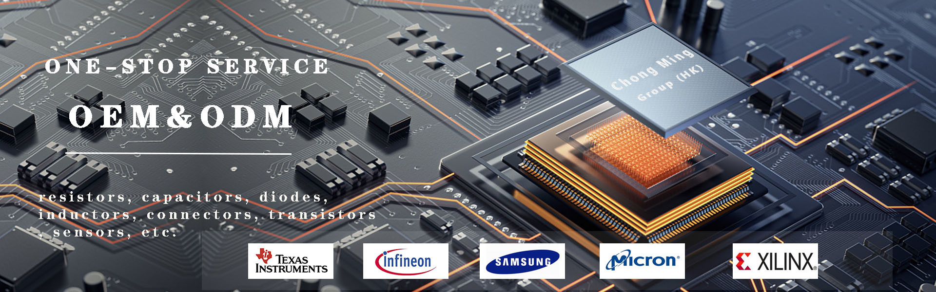 Flash Memory IC Chip & Programmable IC Chip Manufacturer